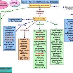 Nurse logic nursing concepts advanced