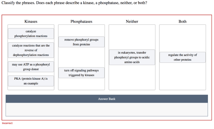 Classify the phrases. does each phrase describe a kinase