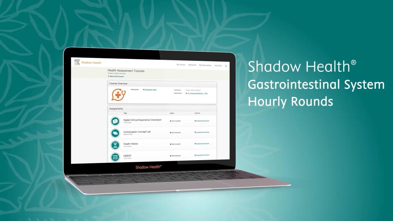 Gastrointestinal system hourly rounds shadow health