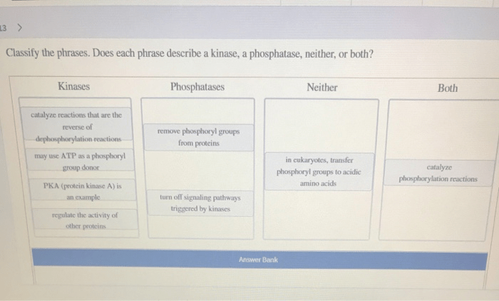 Phrases transcribed kinase neither phosphatase