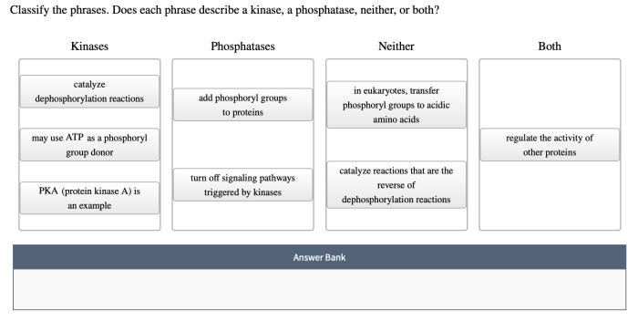 Classify the phrases. does each phrase describe a kinase